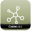 icon with simplified network connection